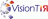 VisionTIR